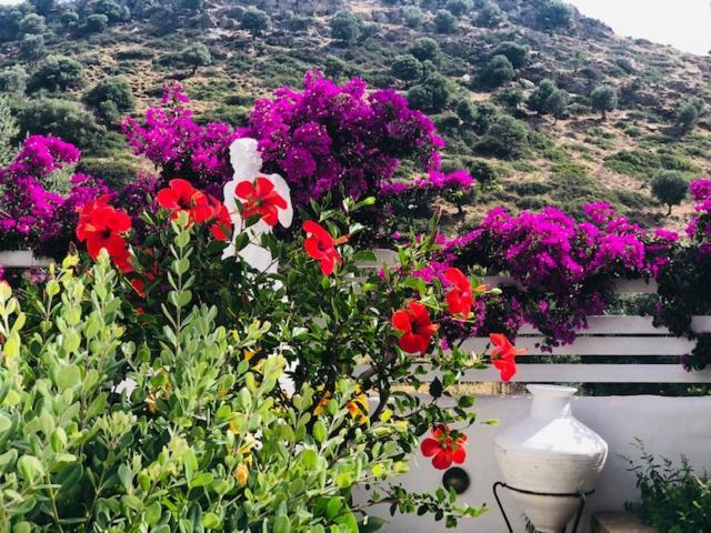 La Bastide Daire İskiri Dış mekan fotoğraf
